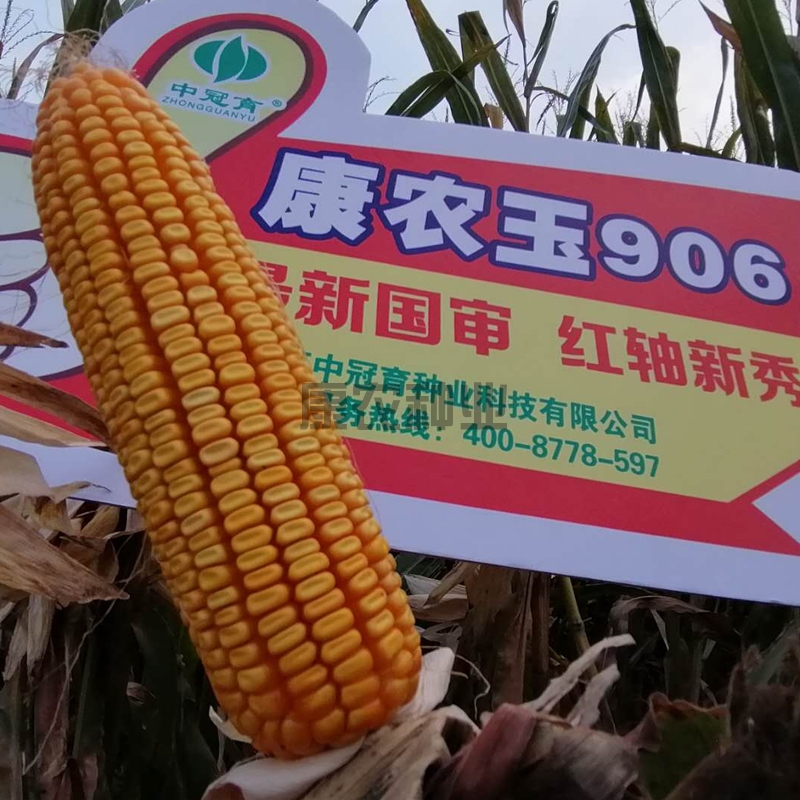 9159金莎游艺场玉906