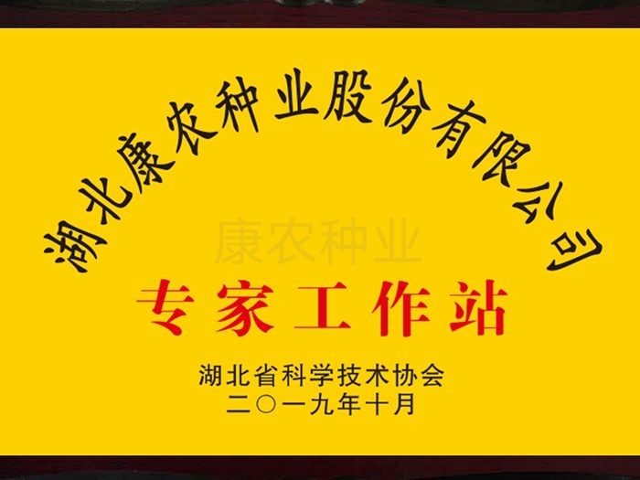 湖北9159金莎游艺场种业股份有限公司专家工作站