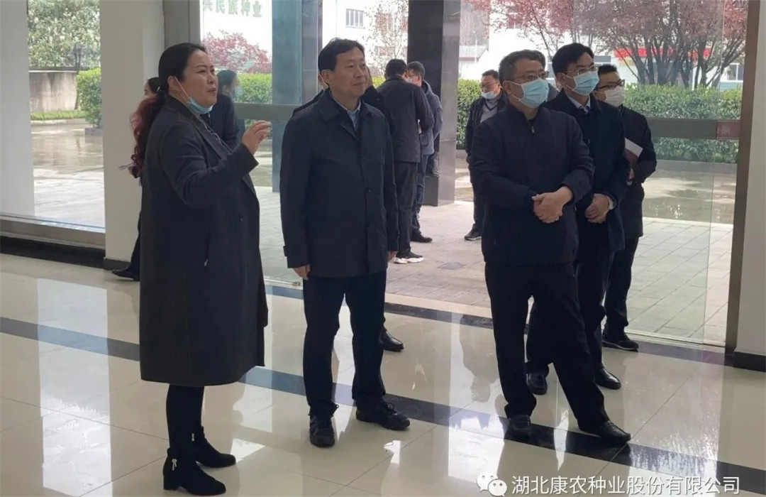 视察1.webp_副本.jpg
